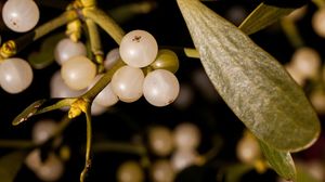 Important! De ce trebuie sa-ti agati vasc in casa in noaptea de Revelion! Toata lumea trebuie sa stie asta!