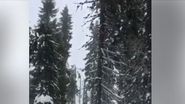 Si asa arata locul, in ianuarie 2014