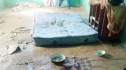 Baietel de 4 ani, omorat intr-un ritual de vrajitorie! Unchiul i-a mancat inima si i-a baut sangele! Cum a fost posibil asa ceva