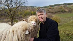 Pomohaci are "pile" la varful Bisericii