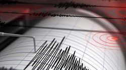 Inca un cutremur in Romania! Ce magnitudine a avut si unde s-a resimtit!