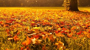 De cand incepe, de fapt, toamna? Meteorologii vin cu noutati pentru Romania