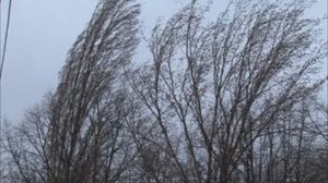 Cod galben de vânt puternic! Zonele în care viteza rafalelor va atinge şi 100 km/oră