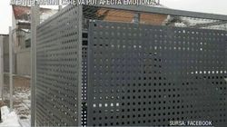 Tratata mai rau ca un animal! Paznicii unui supermarket din Satu Mare au inchis o femeie intr-o cusca - Scenele au fost filmate