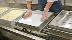 Adevarul pe care nu ti l-a spus nimeni. Acesta este alimentul care te poate imbolnavi de cancer cerebral si cancer la san