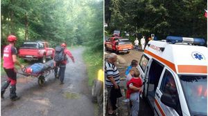 Tanara din Iasi, in soc anafilactic dupa ce a fost intepata de albina