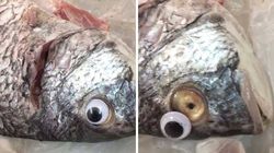 Afacerea miroase dubios: Peşte putred, „împrospătat” cu ochi de plastic