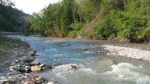 De unde provin numele raurilor din Romania