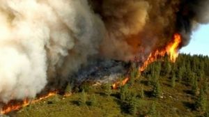 Incendiu violent în Masivul Făgăraş. Focul s-a extins pe o suprafaţă de 1000 de metri pătraţi