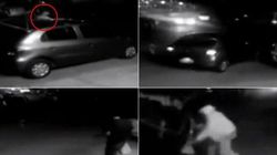 7 hoţi care au ajuns la puşcărie pentru o mare doză de prostie