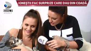 VIDEO Casa familiei Ionescu e plina de caini! Uite cum arata cei 8 catelusi frumosi si cum poti adopta si tu unul: "Ii dam fara bani!"