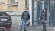 Pitbull se uita cum a parcat masina
