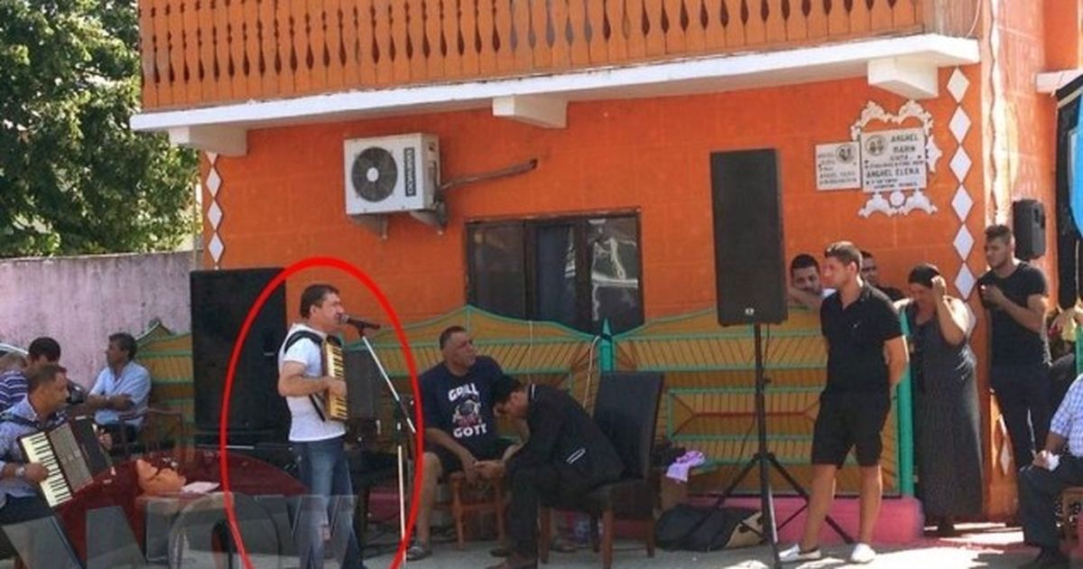 Stefan Dela Barbulesti Din Toate Florile Din Lume
