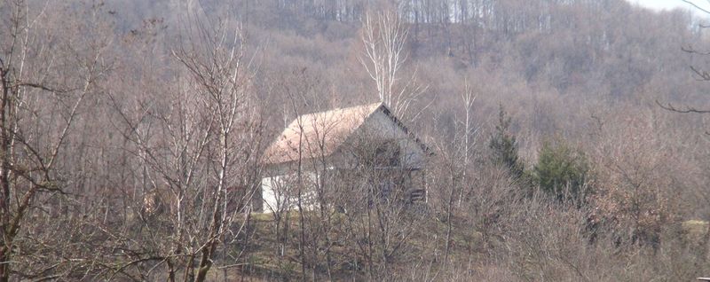 Actorul si-a cumparat tot in Vladesti un teren pe care a construit o vila cocheta