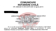 Decizia oficiala data de instanta