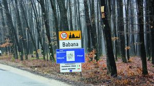 FOTO! Cum arata casa de vacanta pe care Florin Calinescu a ridicat-o in satul in care a copilarit! Vedeta TV are terenuri de 12.500 metri patrati si sta la marginea padurii! Florin Calinescu a copilarit in comuna Babana, aflata nu departe de Pitesti