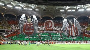 Peluza Catalin Hildan