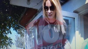 Pelinel, la Poarta Alba