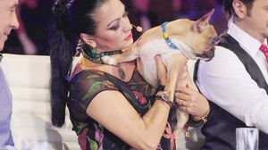 Beatrice Rancea a slabit 8 kilograme cu un regim draconic: "Nu mananc nimic, am avut o saptamana intreaga in care nu am baut decat apa si cafea!"