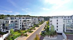 Imagini fabuloase cu locuinta de lux a Cameliei Sucu! Celebra femeie de afaceri detine un penthouse de vis intr-un cartier rezidential