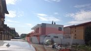 Asa arata casa artistului din Popesti Leordeni
