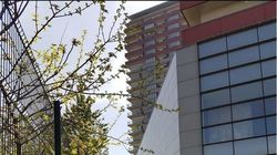 Mama Denisei Manelista n-a mai intrat in "casa durerii", de la Bucuresti. “Cum sa ma duc in casa ei si ea sa nu fie acolo?! Nu pot sa pun mana pe clanta aia. Nu pot, nu pot! Nu rezist!" VIDEO!