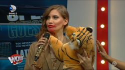 WOW sau BAU?! Iulia Albu a dat verdictul! Iată cine a gafat şi a primit trofeul BAU