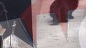 Controversata felina si-a facut aparitia si la locul de veci al Cristinei Stamate