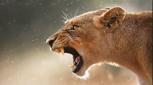 Visele ne dau tot felul de stari in timpul zilei