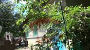 In aceasta casa modesta locuia bunica Loredanei Chivu