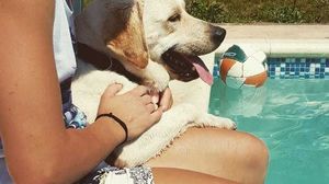 Cat de bine arata Catalina Ponor! Fosta mare campioana la gimnastica a implinit recent 31 de ani FOTO