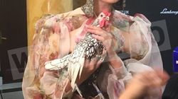 Iulia Albu, apariţie incredibilă cu cocoşul, la Palatul Regal! Cum a păşit pe covorul roşu