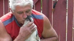 Câinele lui Szobi Cseh suferă crunt de singurătate! “Dinu” şi-a rănit urechea şi piciorul încercând să rupă gardul curţii! | EXCLUSIV