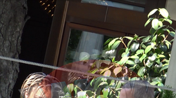 Video exclusiv | Reghe si Prodanca, sarut pasional la restaurant! Gurile rele spun ca cei doi au probleme in cuplu, dar ei isi vad fericiti de relatia lor