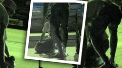 Video exclusiv! Revoltator! Cum e posibil sa vezi copii jucand barbut in fata unor cafenele de lux din centrul Capitalei! Se intampla asta in fiecare seara in Bucuresti, chiar sub nasul politistilor. Imagini socante