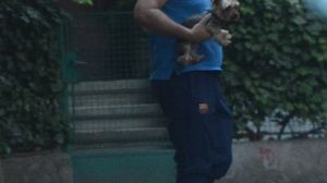 Deja lucrurile sunt serioase! Vali Vijelie, surprins din nou in compania amantei! De data aceasta, au dus catelusul la veterinar VIDEO EXCLUSIV