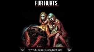 Trei bunaciuni din Marea Britanie i-au pus gand lui Basescu! Sunt suparate pe presedinte, pentru ca e de partea "ucigasilor de caini"! Brigada ingerilor sexy va construi un adapost pentru maidanezi langa Bucuresti! Fetele de la K9 Angels lupta chiar si in pielea goala sa salveze animalele