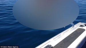Un barbat a pescuit cea mai ciudata creatura din apa! Arata ca un peste, dar este transparenta si gelatinoasa ca o meduza novalue
