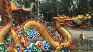 Zodiac chinezesc februarie 2018. Ce-ti rezerva astrele in luna februarie