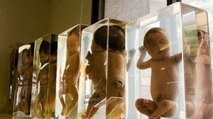 Au intrat in Muzeul Mortii si s-au oprit in dreptul unor vitrine cu bebelusi. Cand s-au uitat mai bine, i-a trecut un fior. Ce au vazut