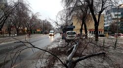 Vremea provoacă victime! Capitala, asaltată de copaci rupți și 49 de mașini avariate