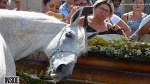 Imagini sfâșietoare de la înmormântare! Un bărbat a murit în accident de mașină, iar calul lui a jelit pe sicriu