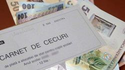 Alocatie copii 2019. Cine beneficiaza de alocatie. Cat este cuantumul in 2019