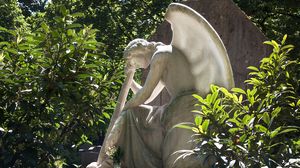 Descoperire macabră în Parcul Herăstrău din Capitală: Un consilier parlamentar, găsit mort