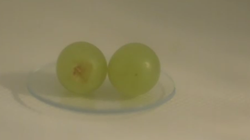 Ce se întâmplă dacă bagi două boabe de strugure în microunde