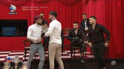 Adrian și Ricardo de la Puterea Dragostei s-au îmbrâncit de față cu Andreea Mantea! Războiul dintre ei ia amploare: „L-am strâns și eu de gât și i-am dat o stângă”