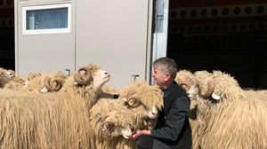 Fostul preot Pomohaci se distrează de minune: ”Azi vi-i prezentăm pe Muflonul , Cafeaua , Amenda , Buba!”