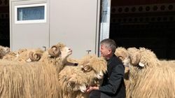 S-a mărit familia lui Cristian Pomohaci! Fostul preot jubilează de fericire