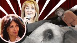 Brânduşa Novac s-a urcat pe spinarea unui elefant cu cizmele cu toc! Uite cum se distra cea mai veche prietenă a Mihaelei Rădulescu pe vremea când era şefă la Circ! FOTO