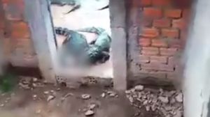 Video șocant! O fetiță  a fost mâncată de crocodili! Cum a găsit-o tatăl său